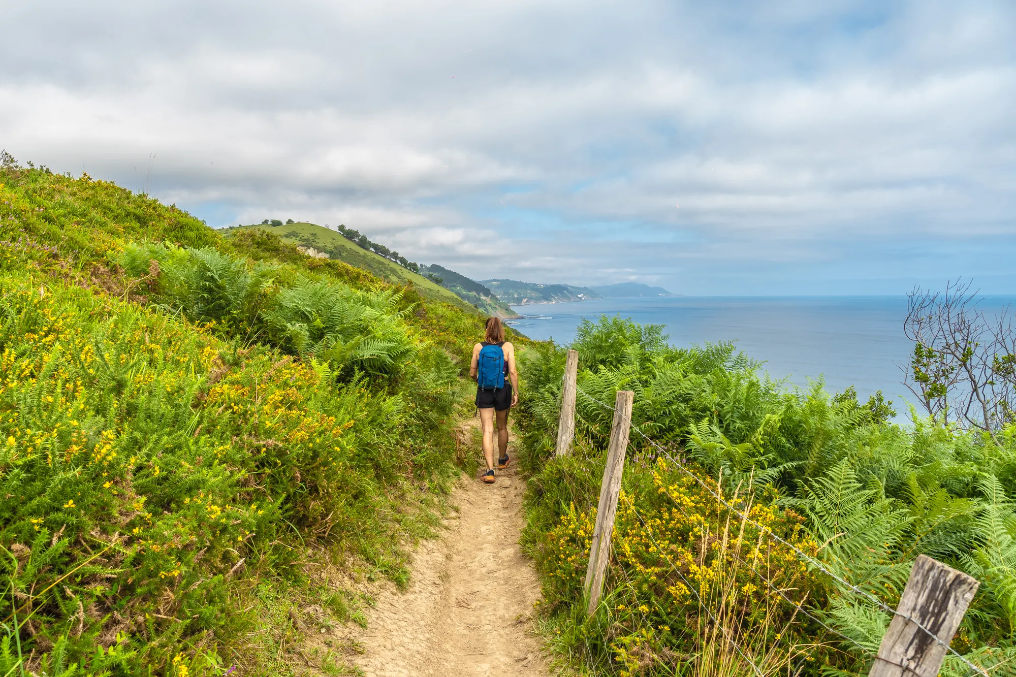Caminhante em uma trilha costeira com vista para o mar
